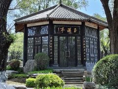 -中国唐苑