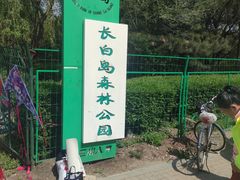 -长白岛森林公园