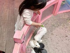 -正佳雨林生态植物园