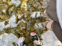 -水墨汀溪风景区