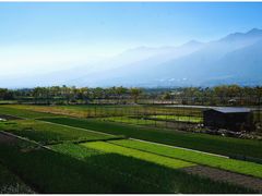 -翠田Green Field Kitchen
