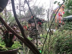 -青城甲(青城山店)