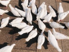 -人民广场