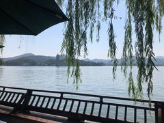 -柳莺湖上·湖景餐厅·江南菜(西湖店)