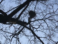 -终南山南五台景区