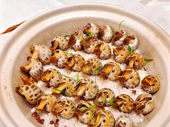 盐焗花螺-北塘海鲜·天津菜·鲅鱼水饺是一绝(大光明桥旗舰店)