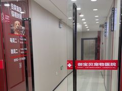 -御宝贝24h宠物医院·转诊中心·CT核磁血透中心(厦门总院)