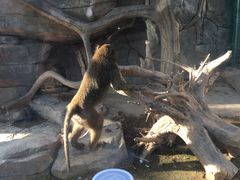 -泉州海丝野生动物世界