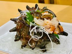 -海鮮寿司とれとれ市場