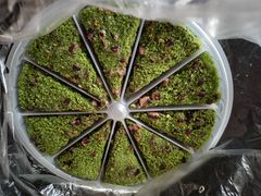 -蟹天蟹地农家菜·阳澄湖大闸蟹(浅水湾店)