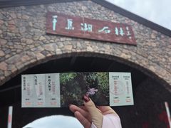 -千岛湖石林