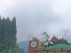 -龙苍沟森林公园