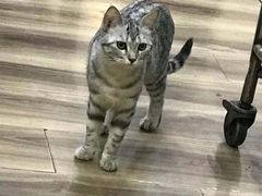 -清真海鲜大排档(原芥园道店)