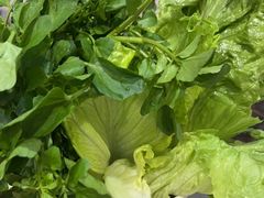 -粤潮牛肉火锅店(江南大道店)