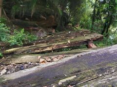 -仙海旅游度假区