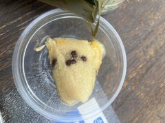 -鼎香皇高佬苏裹蒸粽