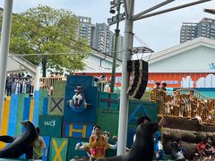 -海合安成都极地海洋公园