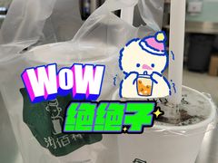 -沏佰杯(金元宝店)