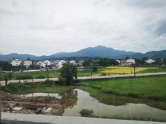-黄牛肉馆·皖南土菜