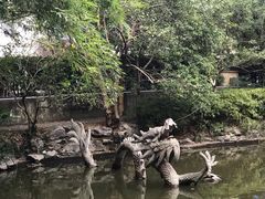 -汇龙潭