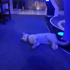 -BBVR团建聚会体验馆·亲子DIY手工