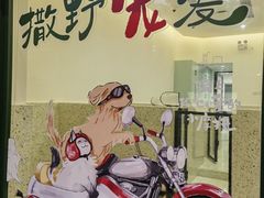 -電力宠物公司(武定路店)