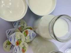 酸奶-正飞鲜奶(南湖一期店)