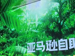 -亚马逊海鲜自助(梅溪湖步步高店)