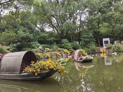 -汇龙潭