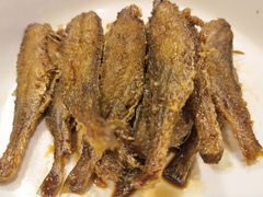-优护优家Ucare月嫂育儿嫂陪伴师(静安店)
