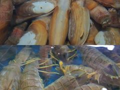 -三亚火车头万人海鲜广场