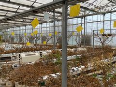 -陆地游轮吉林神农温泉