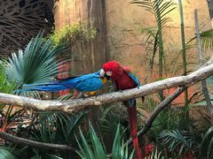 -杭州开元森泊度假乐园