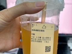 -去茶山