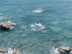 -广东惠东海龟国家级自然保护区