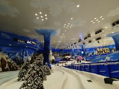 -长沙湘江冰雪世界