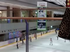 -冰堡国际溜冰场(观澜湖新城MHMALL店)