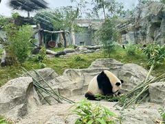 -武汉动物园