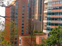-香港大学
