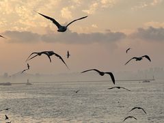 -东港音乐喷泉广场