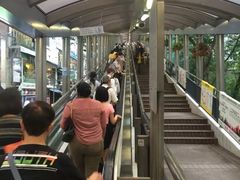-中环半山扶手电梯