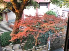 -浙江省博物馆(孤山馆区)
