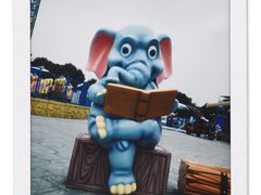 -南湖梦幻岛