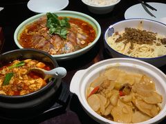 -陈麻婆豆腐总店