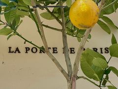 -La Porte de Paris 巴黎之门法式甜品