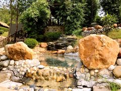 -崇阳三特浪口温泉