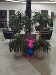 -ON STAR SALON