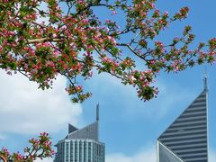 -天津五大道文化旅游区