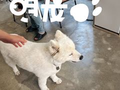 -VOYAGE COFFEE 咖啡烘焙工坊店(798艺术区店)