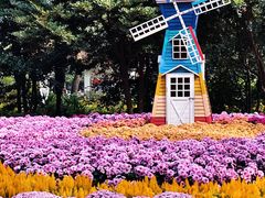 -共青国家森林公园-售票处